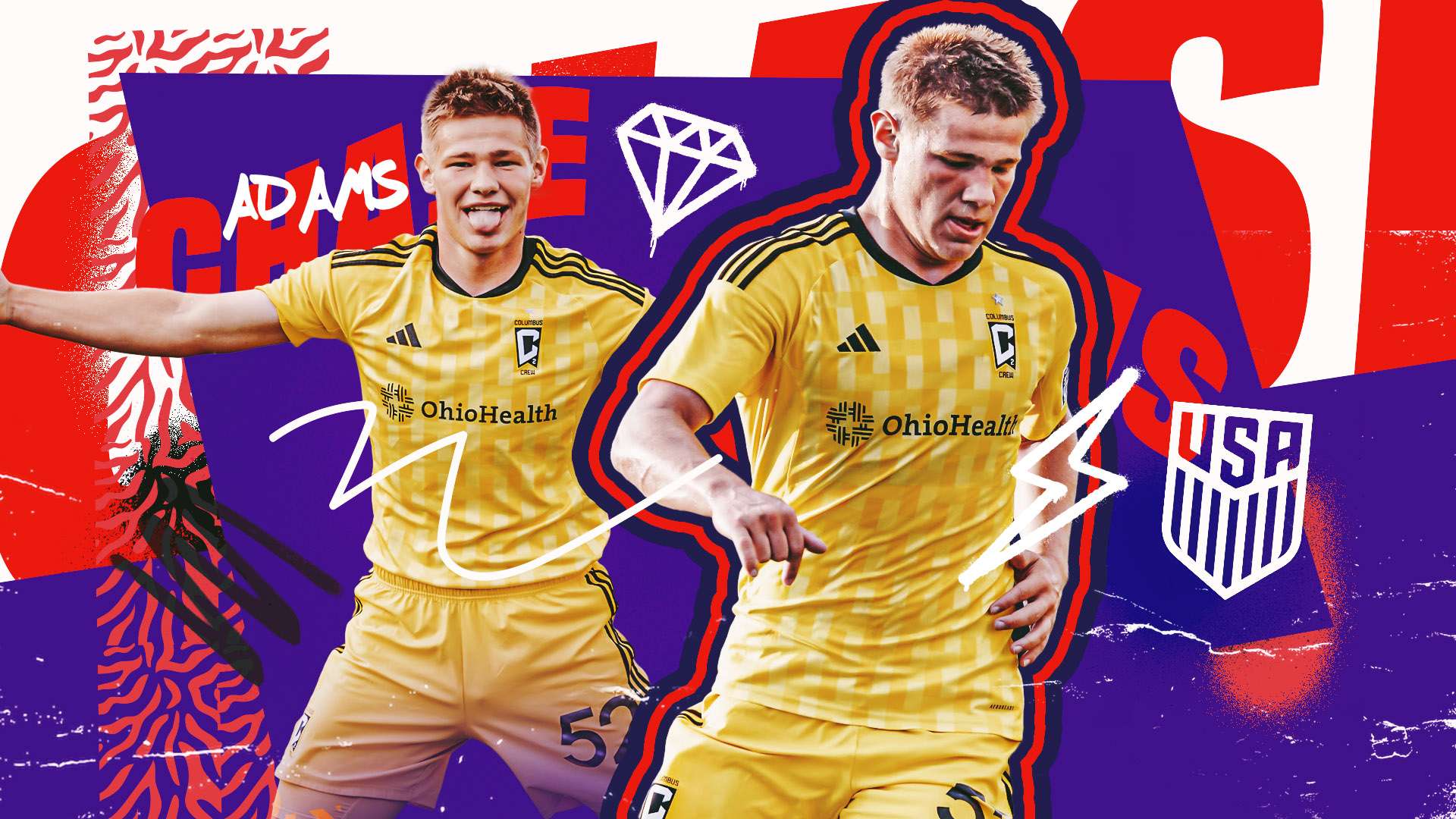 性和观赏性 性和观赏性