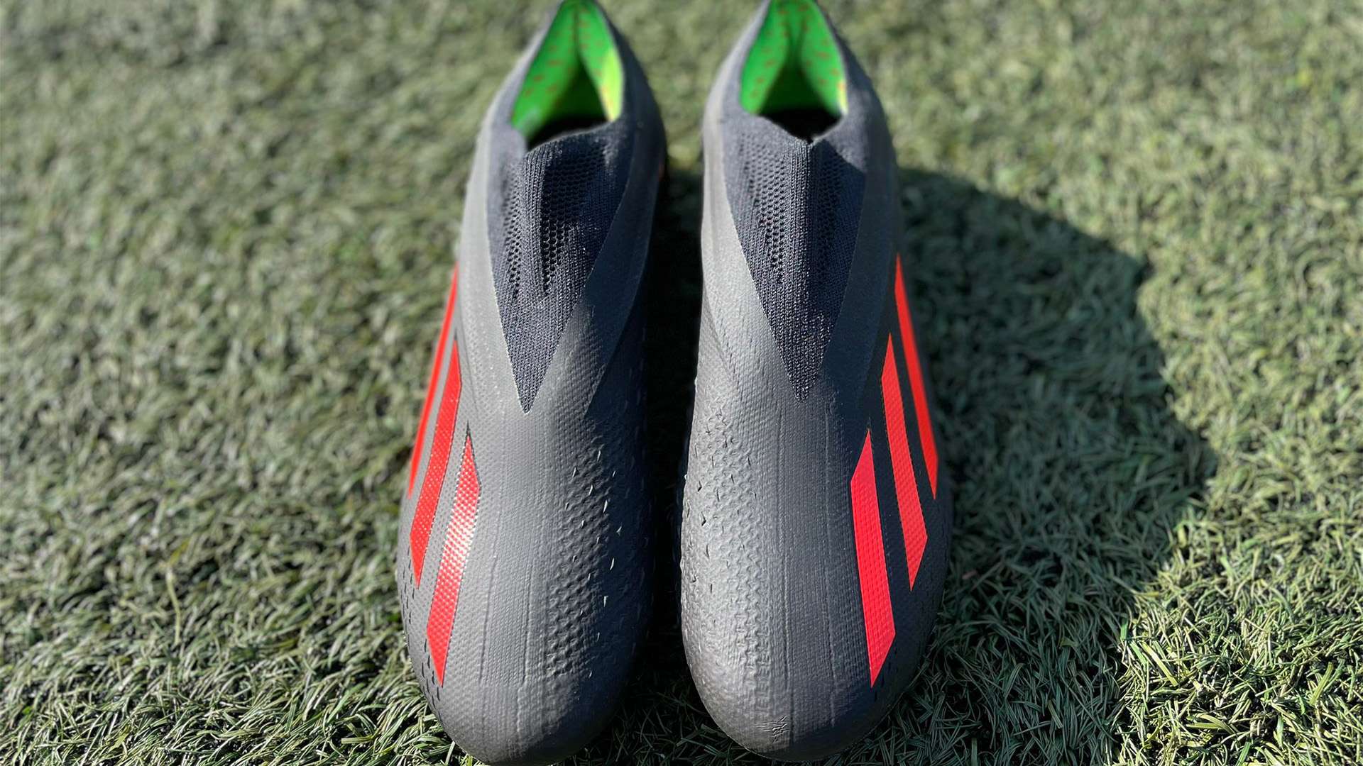 鲜明的特点 鲜明的特点